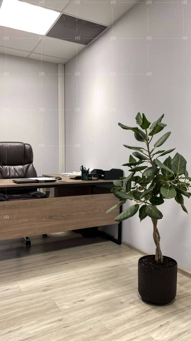 Дизайн офиса XERONA